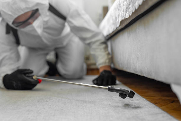 Professional Termite Control technician working in Muniz, TX